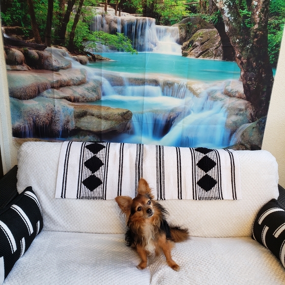 Meet your Posher, Nicole - Picture 1 of 3